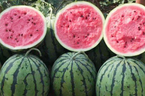 长垣吃瓜买衣服