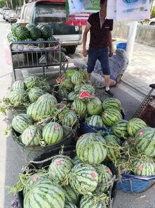 韩城花店吃瓜事件,一场意外的网络风波揭秘