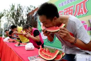 吃瓜大赛每日大赛,每日吃瓜大赛精彩回顾