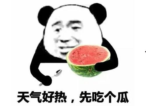 吃瓜表情解析
